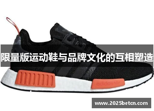 限量版运动鞋与品牌文化的互相塑造